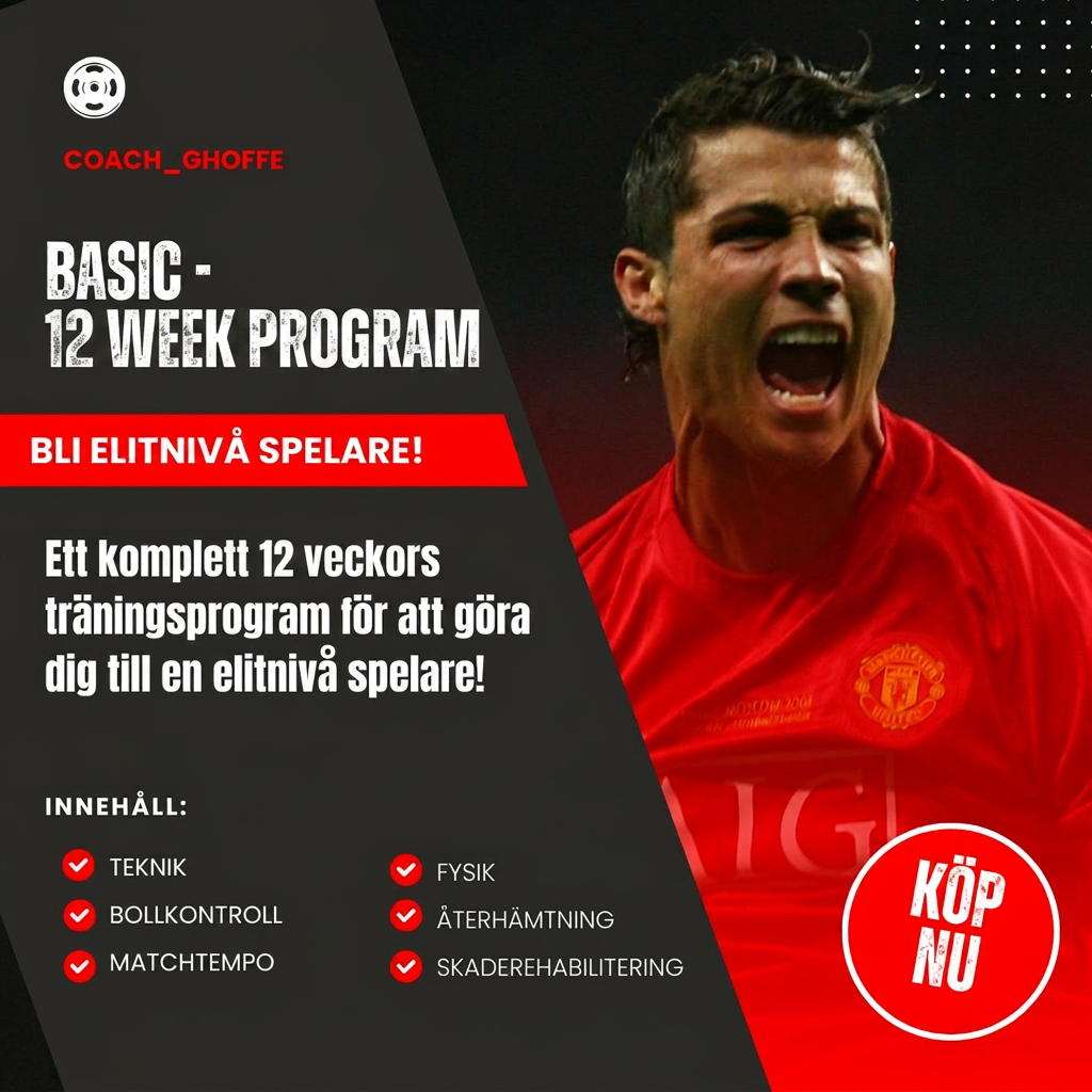 Basic 12 WEEK Träningsprogram
